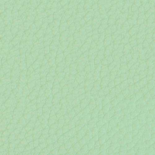 Pelle Premium - Verde chiaro