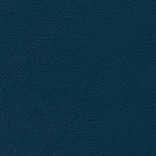 Pelle Premium - Blu