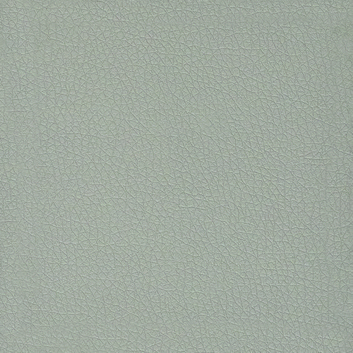 Pelle Ecologica Premium - Grigio