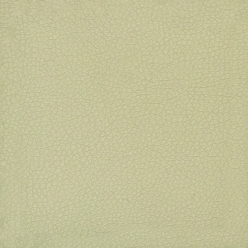 Pelle Ecologica Premium - Sabbia