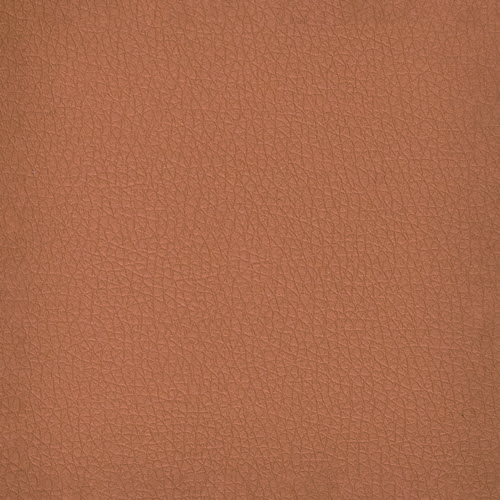 Pelle Ecologica Premium - Biscotto