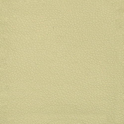 Pelle Ecologica Premium - Beige