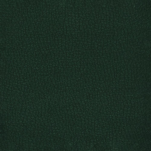 Pelle Ecologica Premium - Verde bosco
